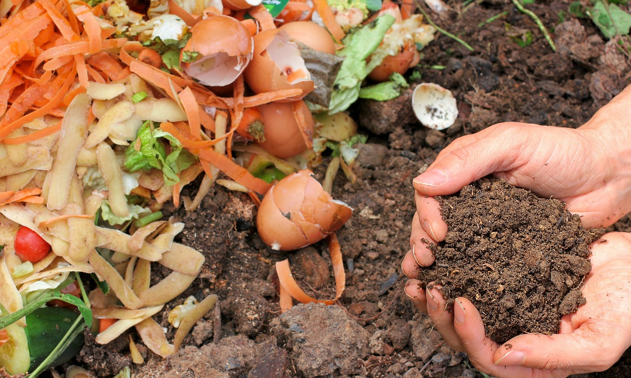 The Science of Composting: Transforming Waste into Wealth