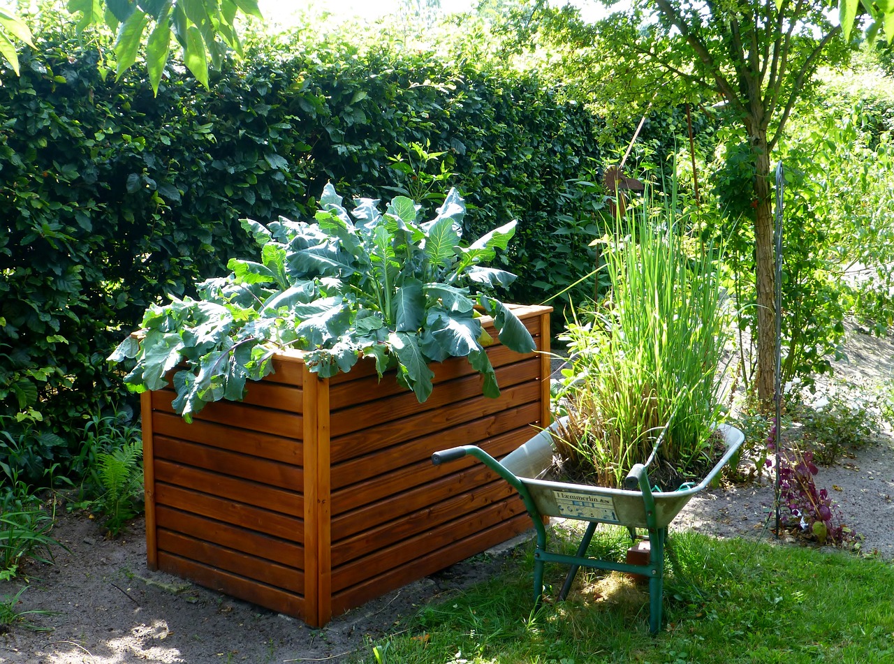 Raised Bed Gardens: A Comprehensive Guide to Elevating Your Gardening Game