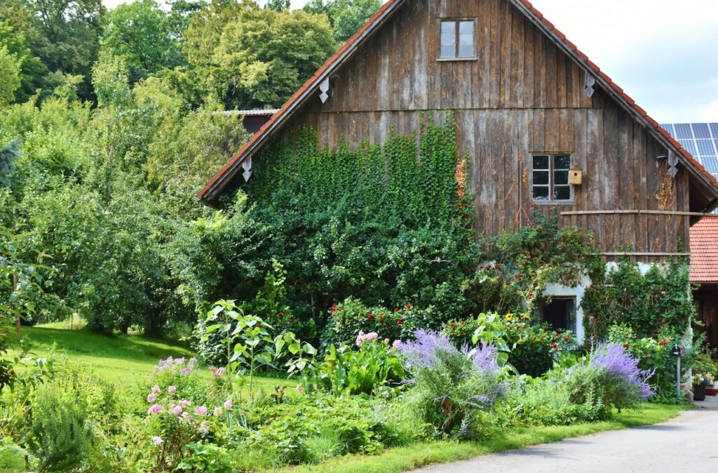 Embellishing Your Abode with Flowers, Trees, and Shrubs