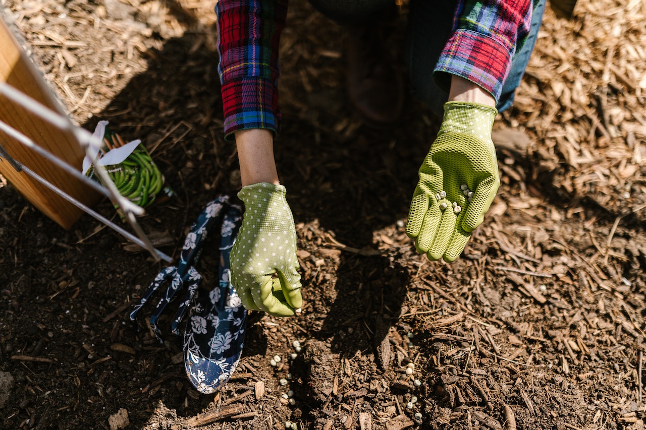 All About Mulching: Protecting and Nourishing Your Garden